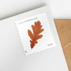 2025 Vibrant Leaves Postcard