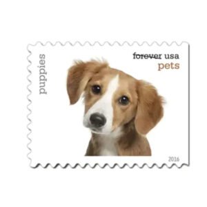 2016 Pets First-Class Mail