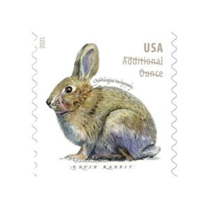 2021 Brush Rabbit Additional Ounce