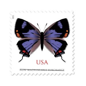 2021 Colorado Hairstreak