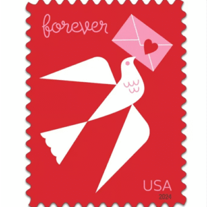 2024 Carrier pigeon love