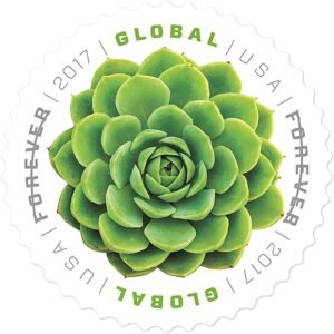 2017 Global Green Succulent International