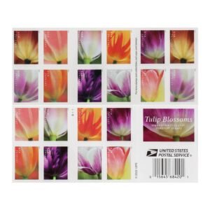 2023 US Tulip Blossoms