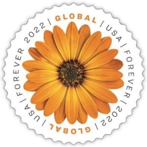 2022 Global International Mail African Daisy