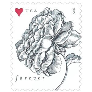 2015 Vintage Rose Pane Wedding