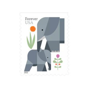 2022 US Elephants