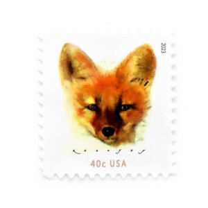 2023 US Red Fox